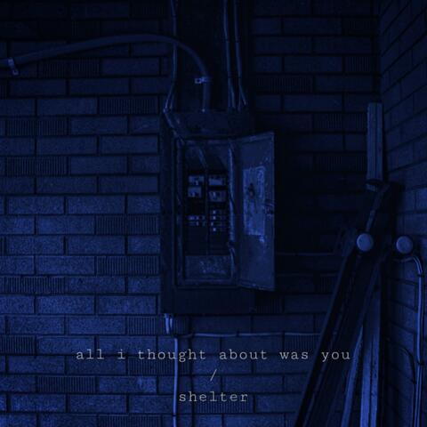 all i thought about was you / shelter