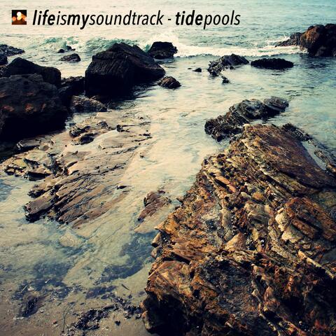 Tide Pools