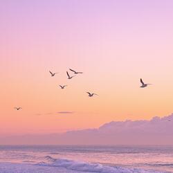 Beyond The Sea
