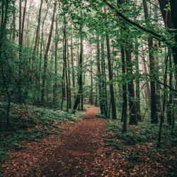 Birds Chorlton Ees Nature Reserve Manchester England
