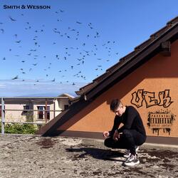 Smith & Wesson