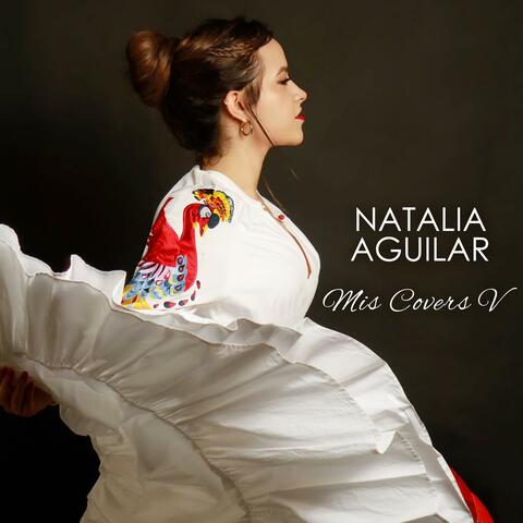 Mis Covers V