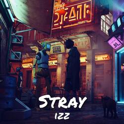 Stray