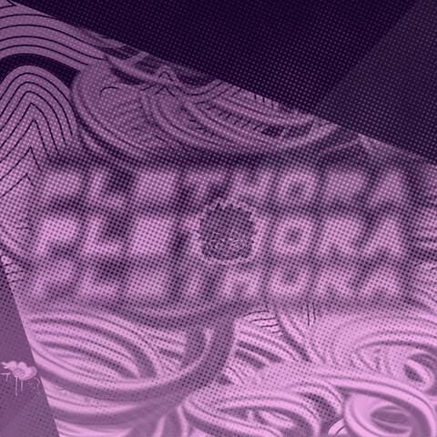 plethora.