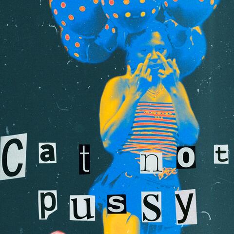 Cat Not Pussy