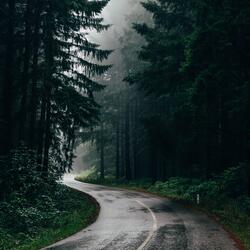 Birds in the rain (feat. Dept B)