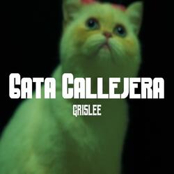 Gata Callejera