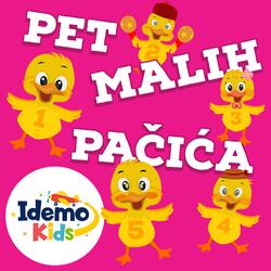 Pet Malih Pačića