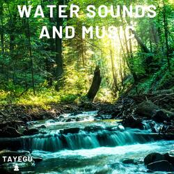 Water Sounds and Music River Waterfall Stream Creek 1 Hour Relaxing Nature Ambience Yoga Meditation Sounds For Sleeping Relaxation or Studying