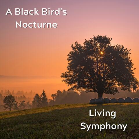 A Black Bird's Nocturne