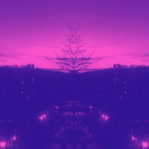 Montage