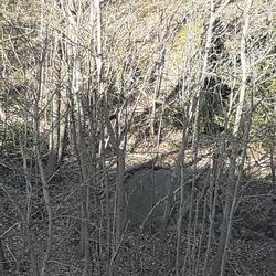 How Much do You Practice