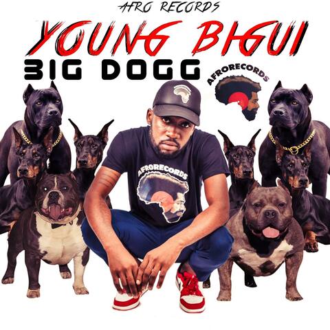 BIG DOGG (feat. YOUNG BIGUI)