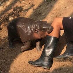 DONT FREAK OUT (feat. Blake Foster)