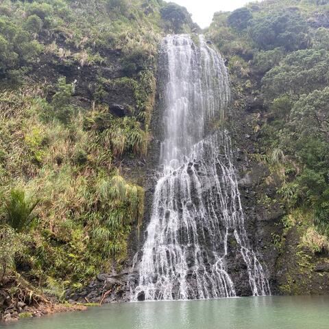 Water is Life Standing Rock (feat. Shylah Ray Sunshine & Oliwa)
