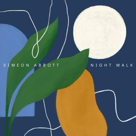 Night Walk