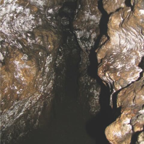 Dark Meditations in Monastic Seclusion