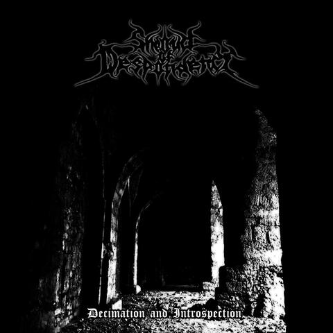 Decimation and Introspection