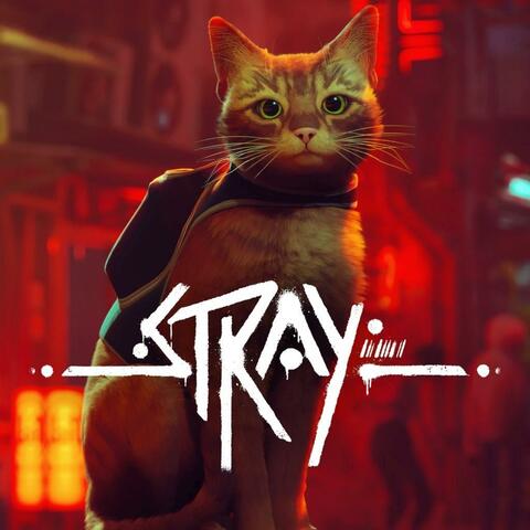 S T R A Y