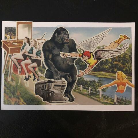 The Monkey Virus Saga