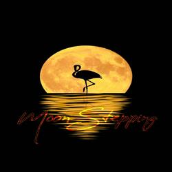 Moon Stepping