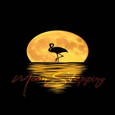 Moon Stepping