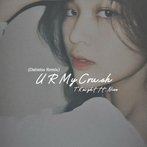 U R my crush (feat. Nie & Đạt Miss) [Remix]
