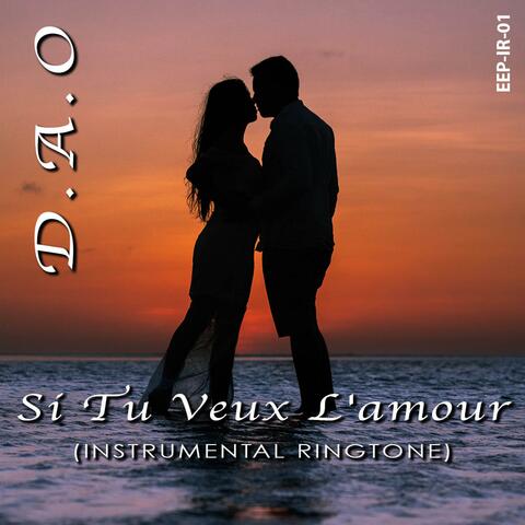 Si Tu Veux L'amour (Instrumental)