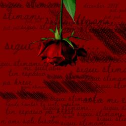 Sigui Stimami (feat. josh.)