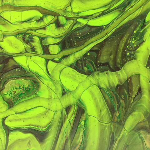 From the Stomach