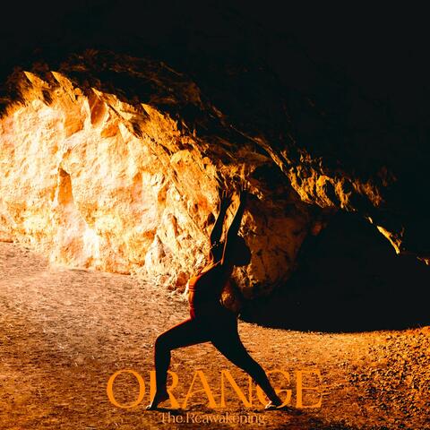 ORANGE: The Reawakening