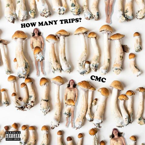 How Many Trips