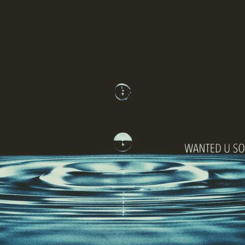 Wanted U So