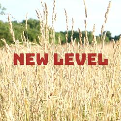 New Level
