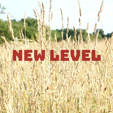 New Level