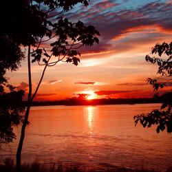 The Time Before Tomorrow