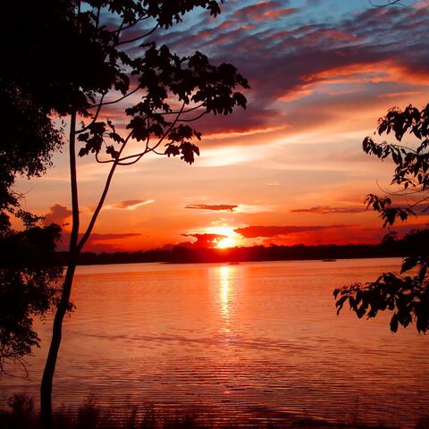 The Time Before Tomorrow