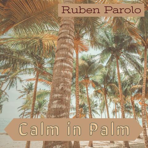 Calm in Palm