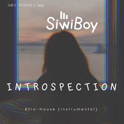 Introspection