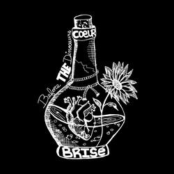 Coeur Brisé