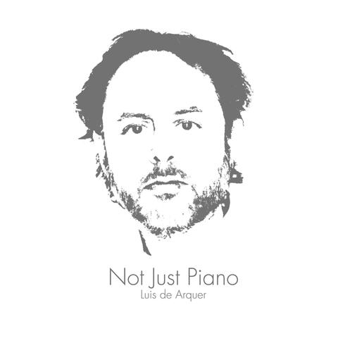 Not Just Piano