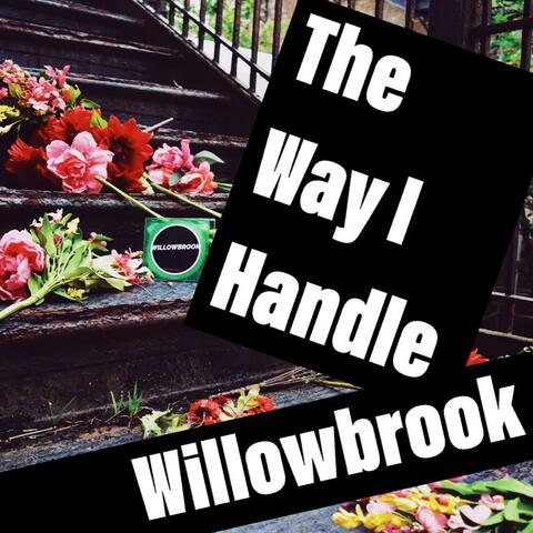 The Way I Handle