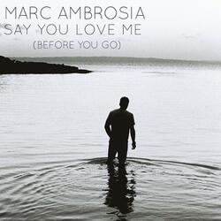 Say You Love Me (Before You Go)