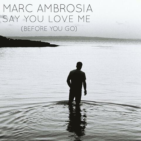 Say You Love Me (Before You Go)