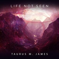 Life Not Seen