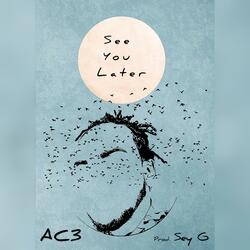 See You Later (feat. Sey G)