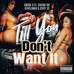 Till You Don't Want It (feat. Charm The Gentleman & Dirty 30)