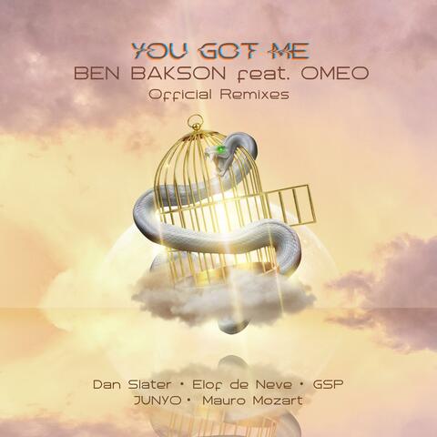 You Got Me (The Official Remixes)