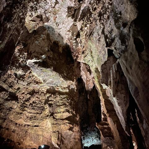 SEE THE LIGHT (feat. Bxttybylona)