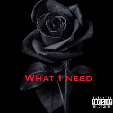 What I Need (feat. Gabethefourth)
